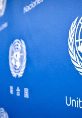 الامم المتحدة1.jpg