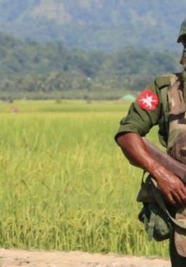 هآرتس: إسرائيل زودت بورما بالسلاح في حربها ضد الرهينغا