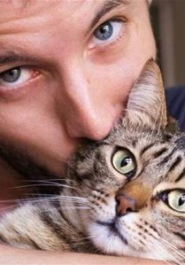 احذروا :  الإحتكاك المباشر بالقطط...قد تعرّضكم للإصابة بهذا المرض!