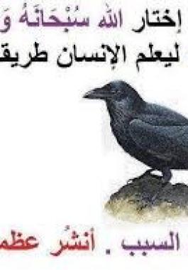 لماذا أرسل الله تعالي 