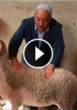 37F9EF1000000578-0-image-m-94_1473175788670_684398_large