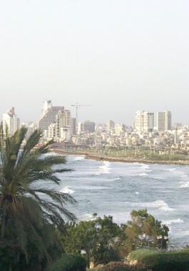 yafa2