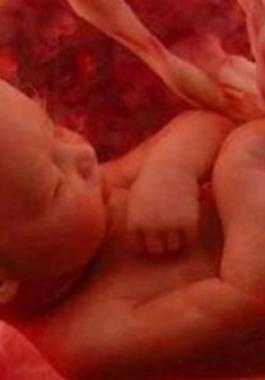 بالفيديو : متى ينفخ الروح في الجنين ؟