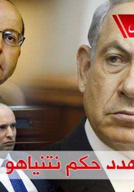 11998781_10207290658237942_1019437167_n