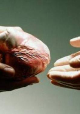 68575776-heart-donation-spl-864839-large-jpg-1266833690332413