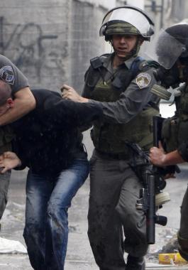 حقوق الانسان