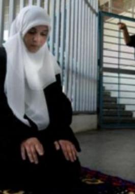 thumb (2)