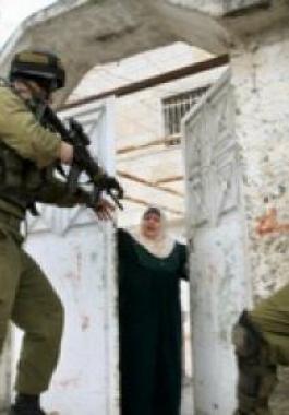 جنين