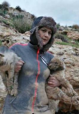 بالفيديو وصور : ضجة بسبب اصطياد إعلامية أردنية ضبعين!