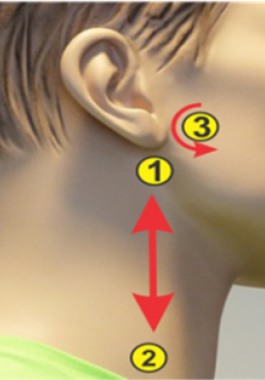 fgh-png-34968944997912611