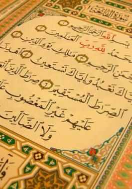 gergg-jpg-19471861751843402