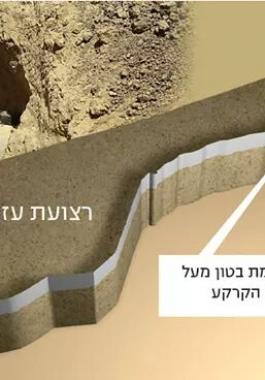 13393958_150261728724105_211819935913001783_n