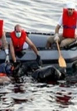 4ddf2f0d-d2cf-4412-bfd8-1ca2dbcbb464_16x9_600x338