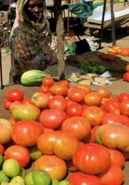 ارتفاع التضخم في السودان