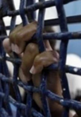 thumb (2)