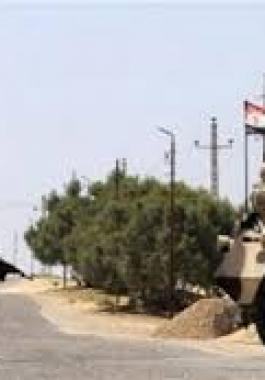 سيناء