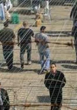 شهادات قاسية لأسرى في عوفر تعرضوا للضرب والتنكيل