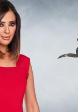 الكيلاني-تختفي-بشكل-مفاجئ-عن-MBC..-والجمهور-يرجح-هذه-الفرضية-1110x564.jpg