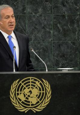 bibi-GPO