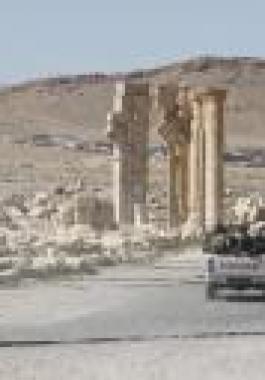تنظيم داعش يستولي على معظم مدينة تدمر