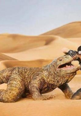 مفاجأة صادمة.. هل سيقف عرض 