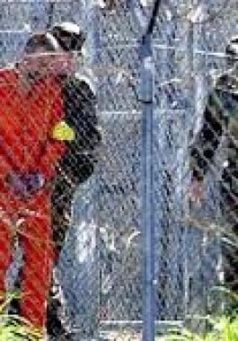 غوانتانامو