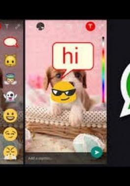 9998769041