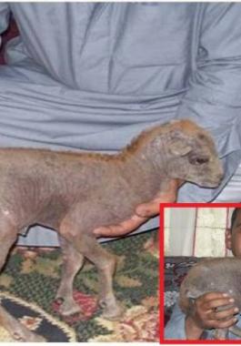 dxs-jpg-29098504211695436