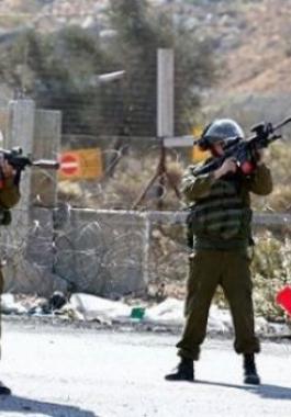 1462020505_content_thumb