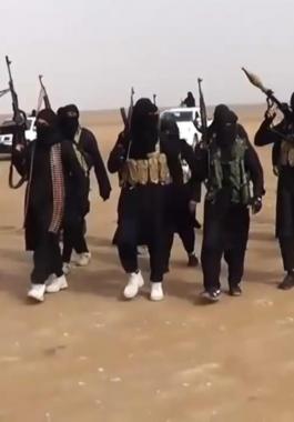 e9d9bec8fedea6c4186222af53ce1d3d