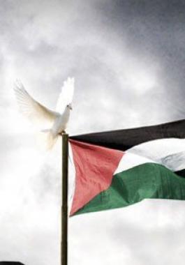 الوكالة الفلسطينية للتعاون الدولي تبدأ برنامج التعاون الطبي مع زمبابوي