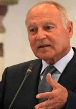 ابو الغيط.jpg