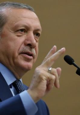 تركيا تستدعي نائب سفير سويسرا بسبب مظاهرة ضد أردوغان.JPG