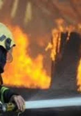 حرائق نشبت في أحراش السويطات بمدينة جنين