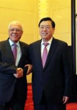 عبد الرحيم يطلع رئيس اللجنة الدائمة لمجلس نواب الصين على آخر التطورات الفلسطينية.jpg