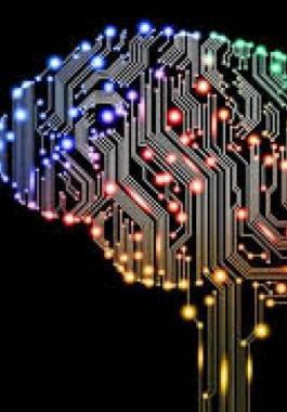 هذا ما يجب أن تفعلوه لزيادة الذكاء