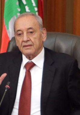 بري: قرية الغجر ومزارع شبعا أراض لبنانية