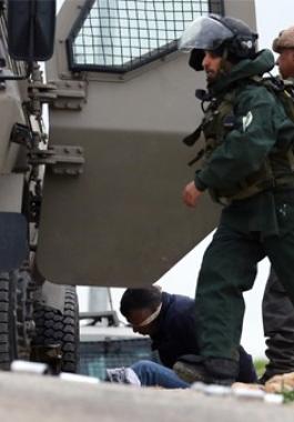 الاحتلال يزعم.jpg