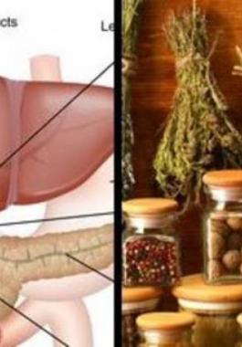 علاجات طبيعية للوقاية من أمراض الكبد