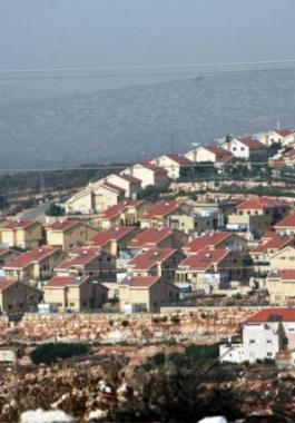 منظمة حقوقية: قرار 