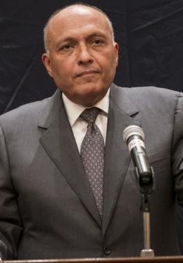 وزير خارجية مصر يكرّم الشوبكي لمناسبة انتهاء مهامه.jpg