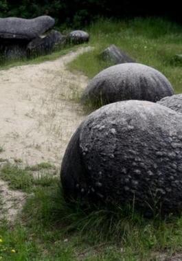 بالفيديو : صدق أو لا تصدق.. حجارة تنمو وتتنفس وتتكاثر والعلماء في حيرة!