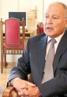 ابو الغيط.jpg