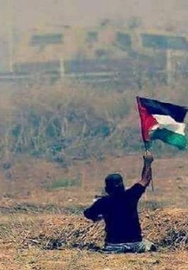 المفوض السامي لحقوق الإنسان يدين قتل الشاب إبراهيم أبو ثريا.jpg