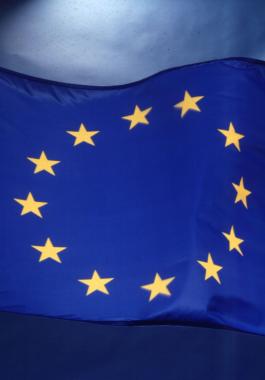 الاتحاد الأوروبي يدعو إلى تحقيق مستقل وشفاف في أحداث غزة