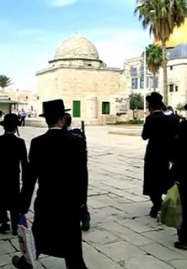 المستوطنين في القدس.jpg