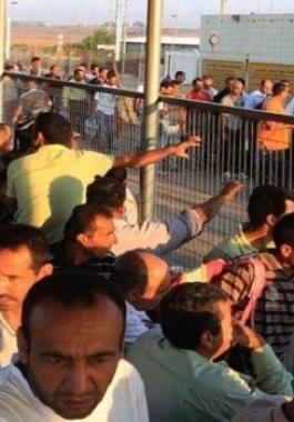 عمال الداخل المحتل.jpg