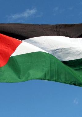 سرقسطة الإسبانية تطالب حكومة بلادها الاعتراف بدولة فلسطين