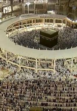 من هو الذبيح المبارك ؟ وأين هي الأرض المباركة ؟