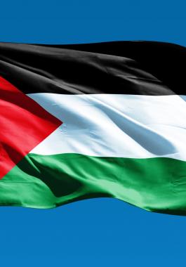 الوكالة الفلسطينية للتعاون الدولي تطلق برنامج التعاون الطبي مع جمهورية رواندا.jpg
